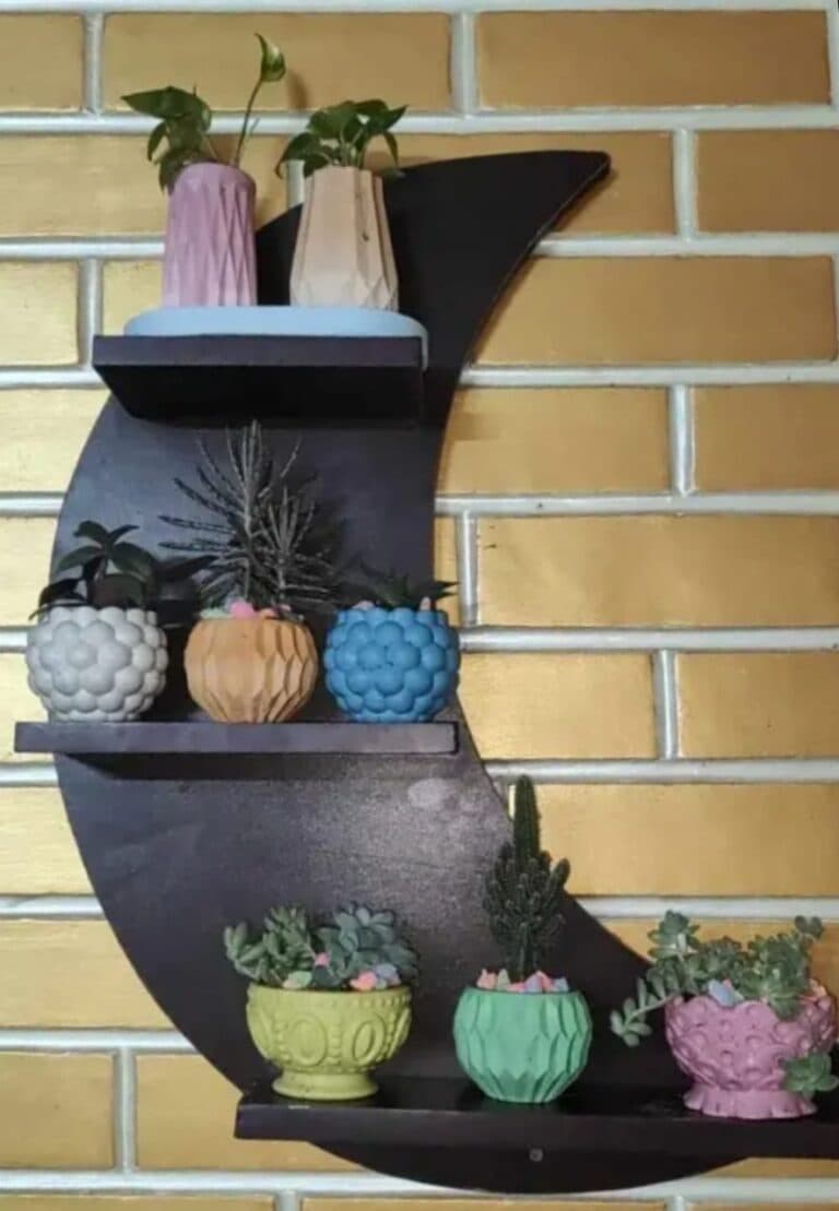 সুন্দর চাঁদ আকৃতির দেয়াল সেলফ 5